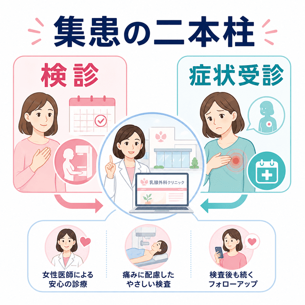 乳腺外科クリニックの集患を、乳がん検診と症状受診の二本柱で設計する考え方を図解したイラスト