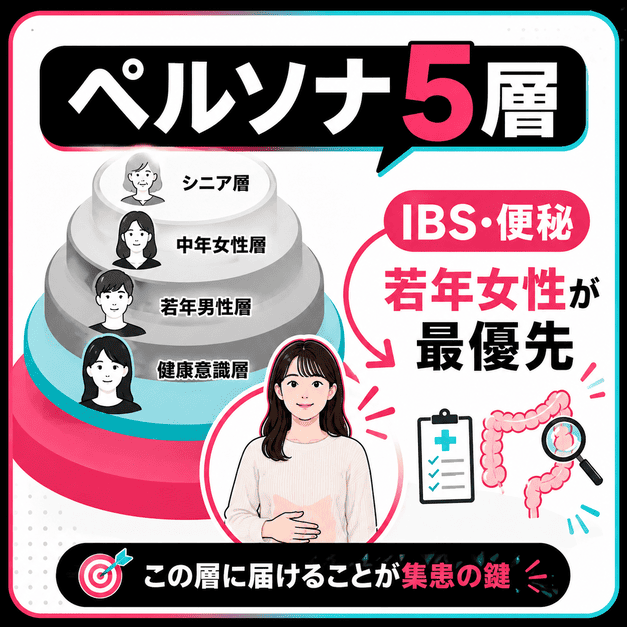 IBSや便秘に悩む若年女性を最優先ペルソナとして示した五層構造のイラスト